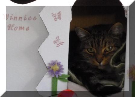 Winnie hat ihr Glck bereits gefunden